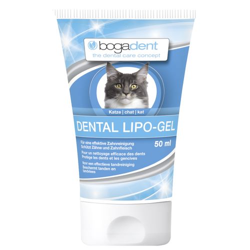 bogadent Dental Lipo-Gel pour chat 50ml Covetrus
