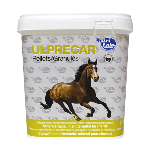Nutrilabs Ulprecar® Equine Pellets 3.6 kg - MyStetho Veterinary