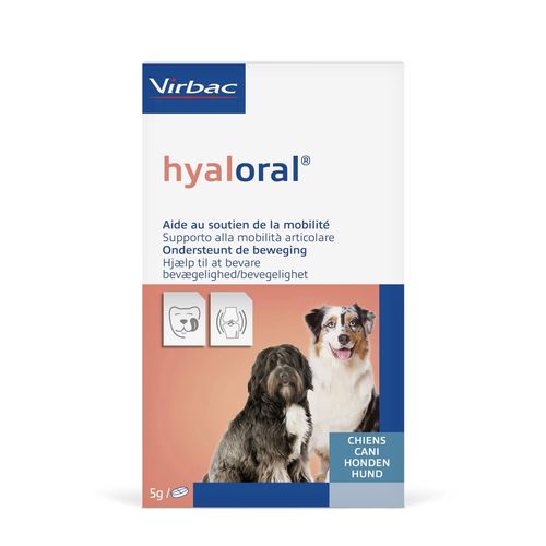 Hyaloral à mâcher pour chiens (1 comprimé) Virbac