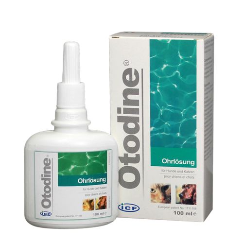 Otodine 100 ml Flacon Ufamed