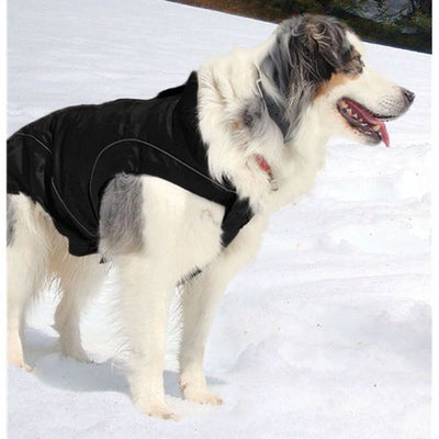 swisspet climaro Softshelljacke 30cm, sw wind- und wasserdicht, waschbar bei 30° - MyStetho Veterinary
