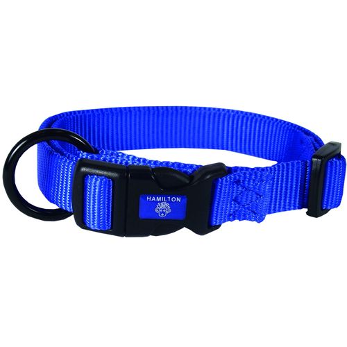 Collier pour chiens bleu 1 x 20 - 30 cm lang - MyStetho Veterinary