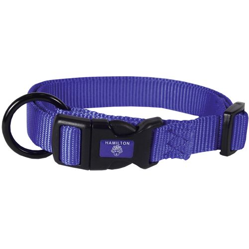 Collier pour chiens bleu 2 x 40 - 55 cm - MyStetho Veterinary