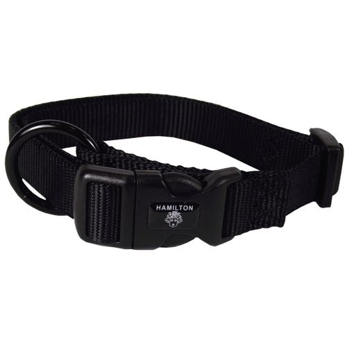 Collier pour chiens noir 2.5 x 45-65 cm - MyStetho Veterinary