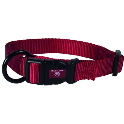 Collier pour chiens rouge 2.5 x 45-65 cm - MyStetho Veterinary