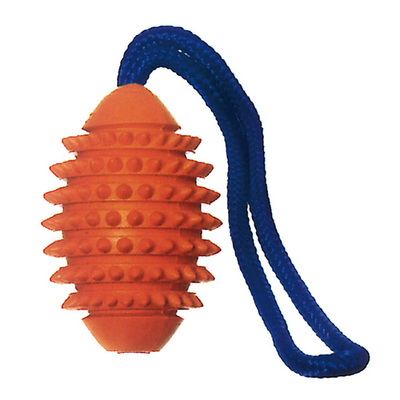 Swisspet Aqua Boomer Football, ø9.5cm - MyStetho Veterinary