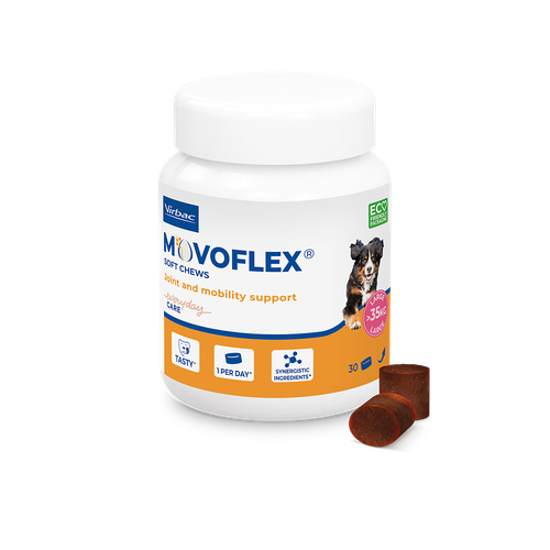 Movoflex L (> 35 kg) (1 bouchée) - MyStetho Veterinary