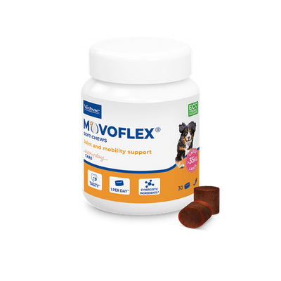 Movoflex L (> 35 kg) (1 bouchée) - MyStetho Veterinary