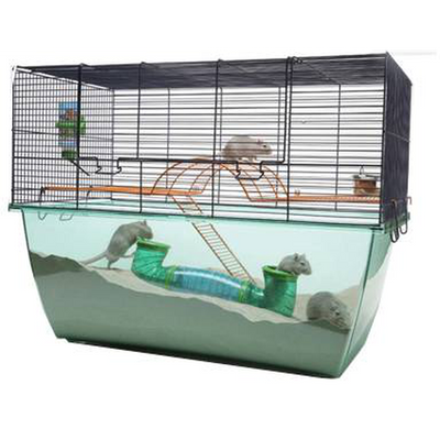 Cage Habitat XL, 70 x 37 cm H 54 cm - MyStetho Veterinary