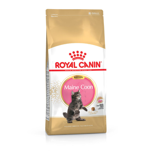 Royal Canin Maine Coon Kitten 4 kg - MyStetho Veterinary