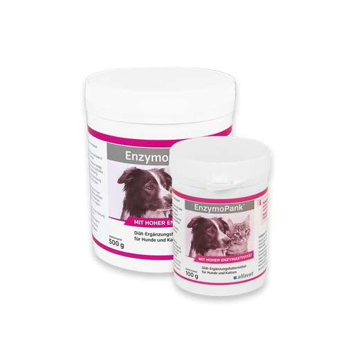 EnzymoPank pour chiens et chats 100g - MyStetho Veterinary