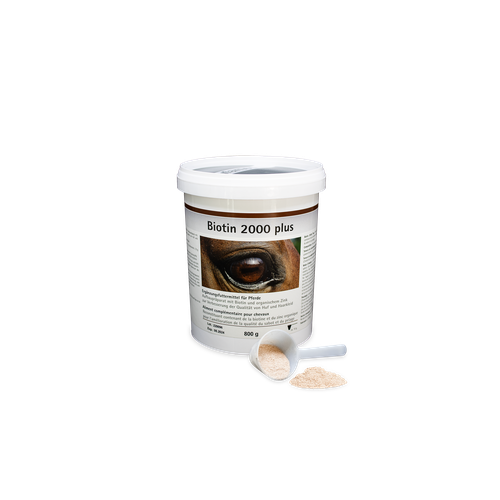 Biotin 2000 plus 800 g boîte - MyStetho Veterinary