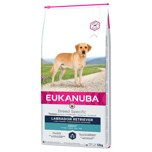 Eukanuba Breed Specific, Labrador Retriever - MyStetho Veterinary