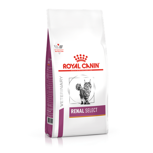 Royal Canin RENAL SELECT 2 kg - MyStetho Veterinary