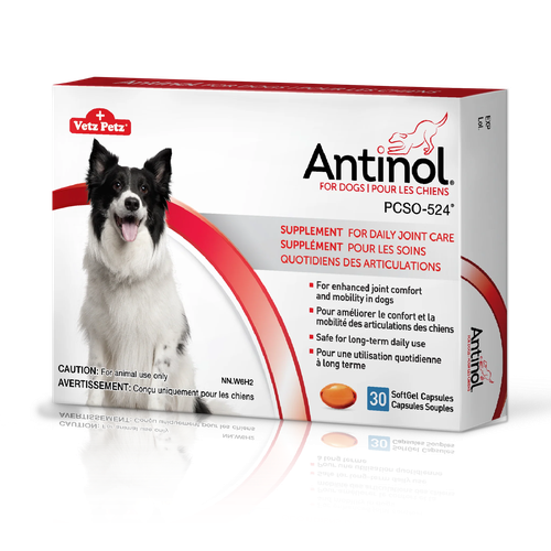 ANTINOL FOR DOGS, 30 gélules molles - MyStetho Veterinary