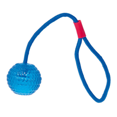 Swisspet balle avec corde pour lancer, bleue claire - MyStetho Veterinary