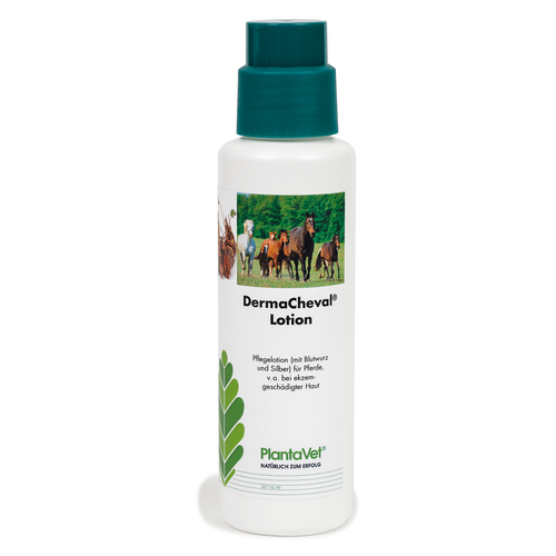 DermaCheval Lotion 300 ml bouteille de brosse - MyStetho Veterinary