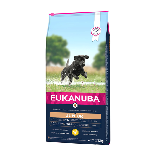 Eukanuba Junior Large - MyStetho Veterinary