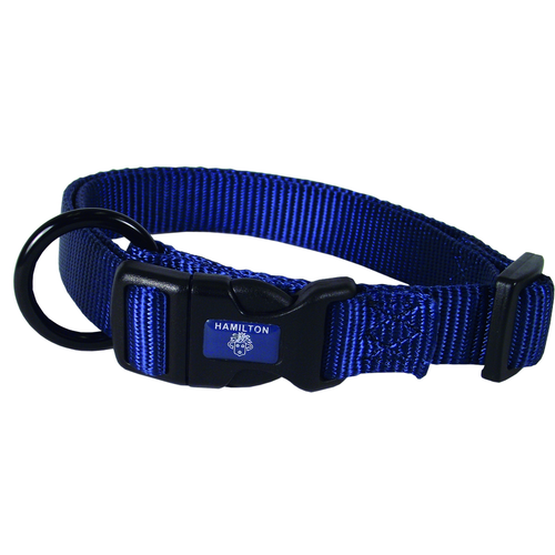 Collier pour chiens marine 2.5 x 45 - 65 cm - MyStetho Veterinary