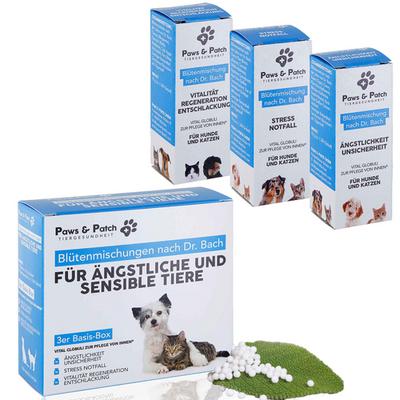 Paws&Patch Boîte de base 3 pièces pour animaux anxieux et sensibles - Mélange de fleurs selon le Dr Bach 10g - MyStetho Veterinary