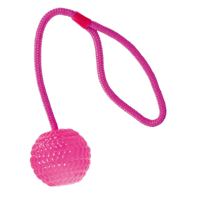 Swisspet balle avec corde pour lancer, rose vif - MyStetho Veterinary