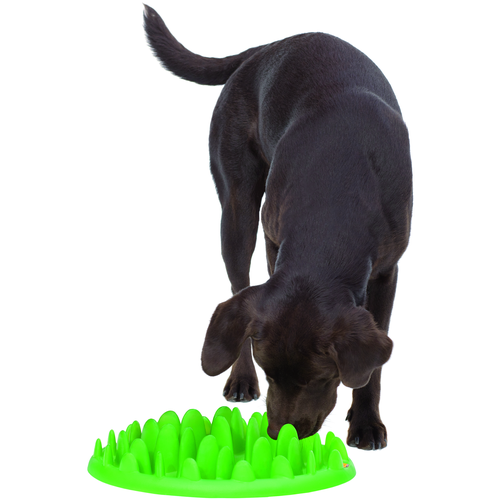 Green MINI Slow Feeder 29 x 22.5 x 7 cm - MyStetho Veterinary