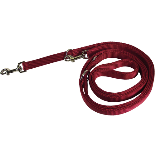 Laisse 3 pos. rouge 2.5 cm x 1.8 m - MyStetho Veterinary