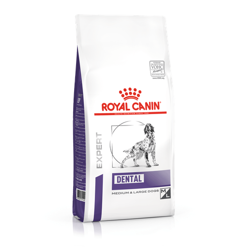 Royal Canin DENTAL MEDIUM & LARGE DOGS  6 kg - MyStetho Veterinary