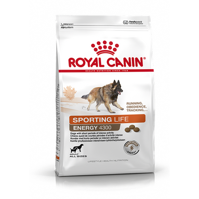 Royal Canin Energy 4300 15 kg - MyStetho Veterinary