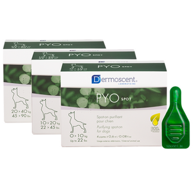 PYOspot® dog (20-40kg) - 2.4 ml (1 pipette) - MyStetho Veterinary