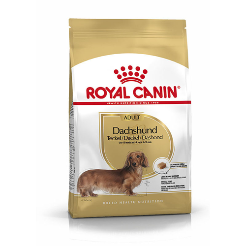 Royal Canin Dachshund Adult 1.5 kg - MyStetho Veterinary