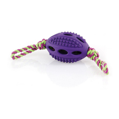 Swisspet Go Dog Football, 32cm, violet - MyStetho Veterinary