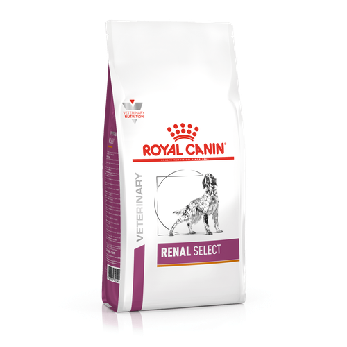 Royal Canin RENAL SELECT 10 kg - MyStetho Veterinary