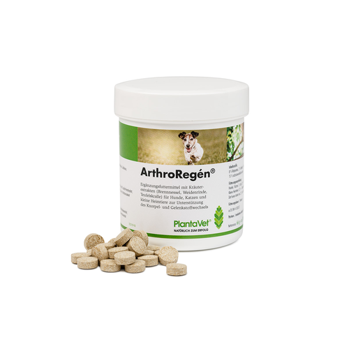 ArthroRegén 300 compr. - MyStetho Veterinary