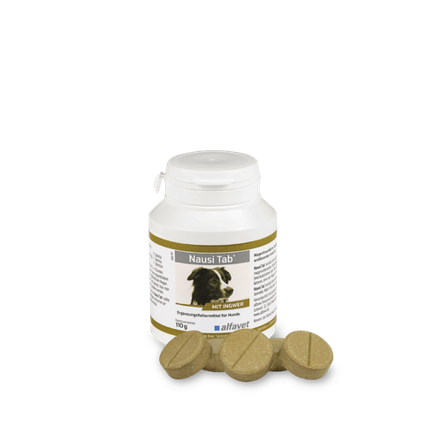 Nausi Tab pour chiens 1 comprimé (boite de 20 comprimés 110g) - MyStetho Veterinary