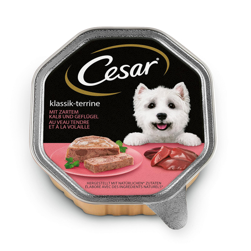 Cesar classique en terrine avec tendre - MyStetho Veterinary