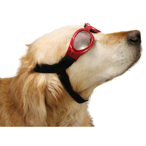 Swisspet Lunettes solaires Carbio, non teintées - MyStetho Veterinary