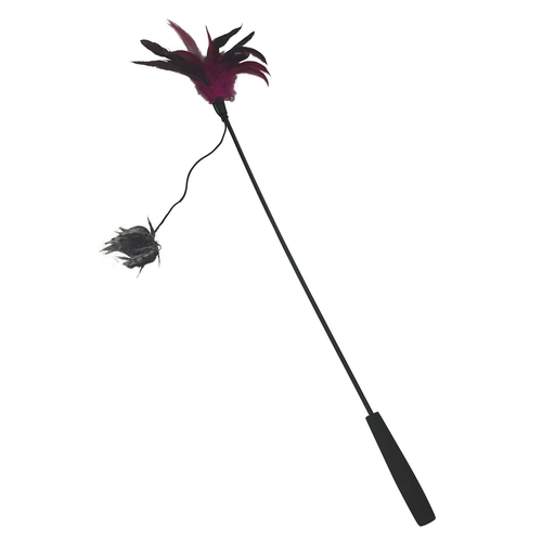 Swisspet Canne à pêche Vio avec plumes , L: 110cm - MyStetho Veterinary