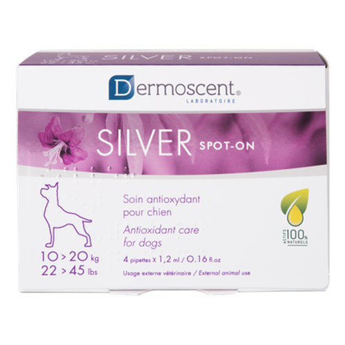 SILVER spot-on dog (10-20kg) - 1.2 ml (1 pipette) - MyStetho Veterinary