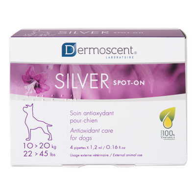 SILVER spot-on dog (10-20kg) - 1.2 ml (1 pipette) - MyStetho Veterinary