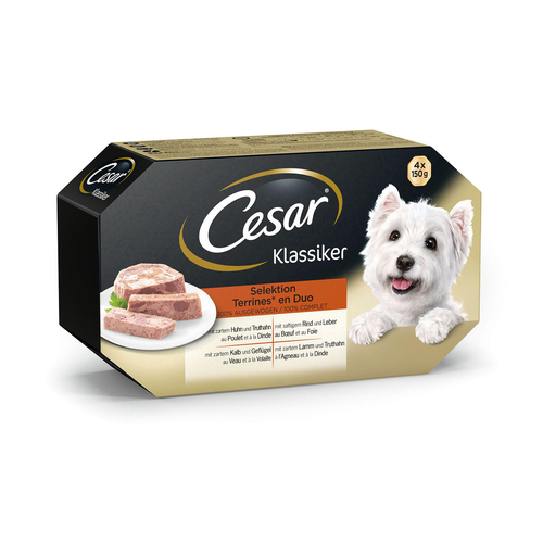 Cesar Classique - MyStetho Veterinary