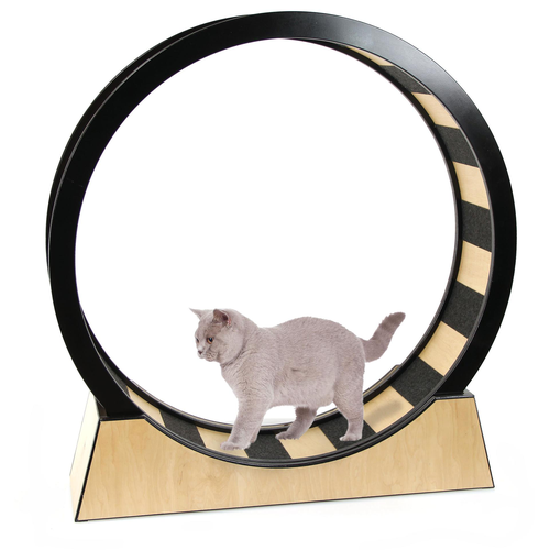 Swisspet Roue à chat Monte Vigo, ø110cm - MyStetho Veterinary