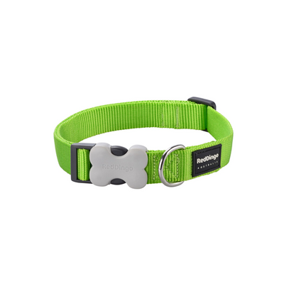 RedDingo Dog Collar Plain Lime Green L Classic Lime Green 25mm x 41-63cm - MyStetho Veterinary