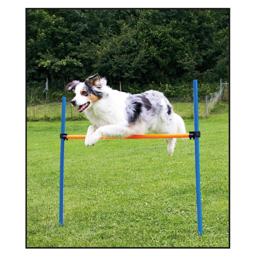 Swisspet set de haies d‘Agility - MyStetho Veterinary