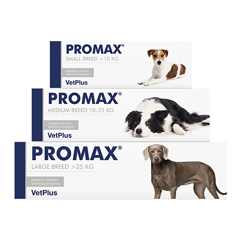 PROMAX® Large - 30 ml Injektor - MyStetho Veterinary