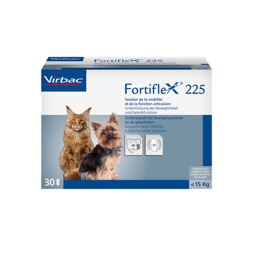 Fortiflex 225mg < 15 kg (1 comprimé) - MyStetho Veterinary