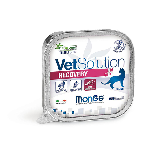 Monge Cat Recovery, 100g - MyStetho Veterinary