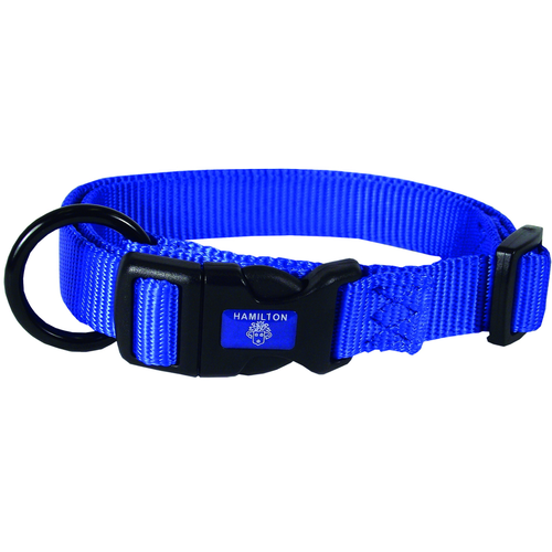 Collier pour chiens bleu 2.5 x 45 - 65 cm - MyStetho Veterinary