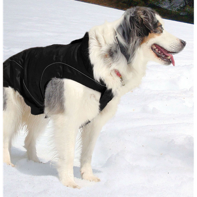 swisspet climaro Softshelljacke 30cm, sw wind- und wasserdicht, waschbar bei 30° - MyStetho Veterinary