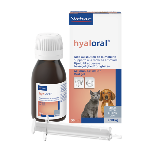 Hyaloral 50 ml gel pour les chats, les chiots et les petits chiens - MyStetho Veterinary